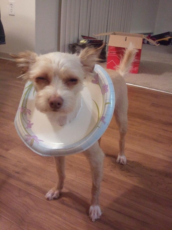 ��� ���� ������, �� �� ��� ��� ��� �������� ���� ��� ����� ��������