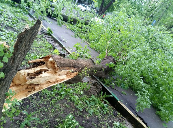 Consequences of a storm in Moscow - My, Storm, Hurricane, Moscow, Nature, Element, Sunset, Sunset, Longpost