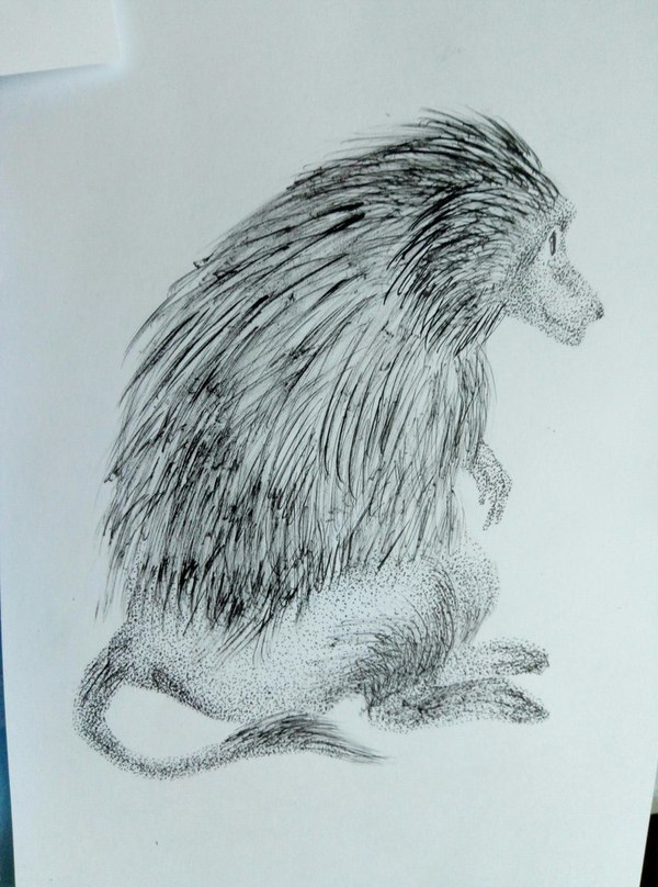 Monkey - Drawing, Dotwork, Monkey, My