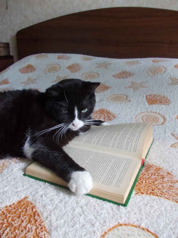 Mine also reads at leisure:))) - cat, Book lovers, Reading