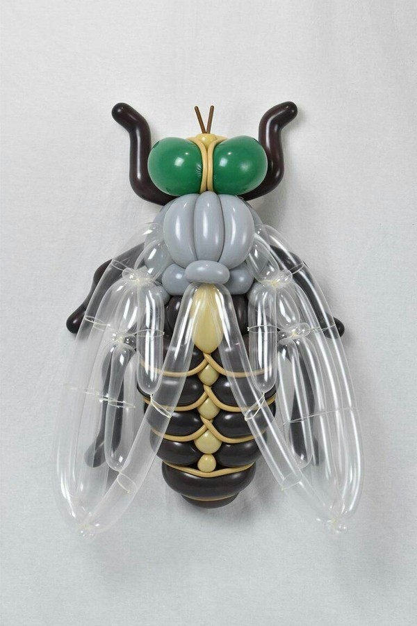 ���� �� ��������� �������