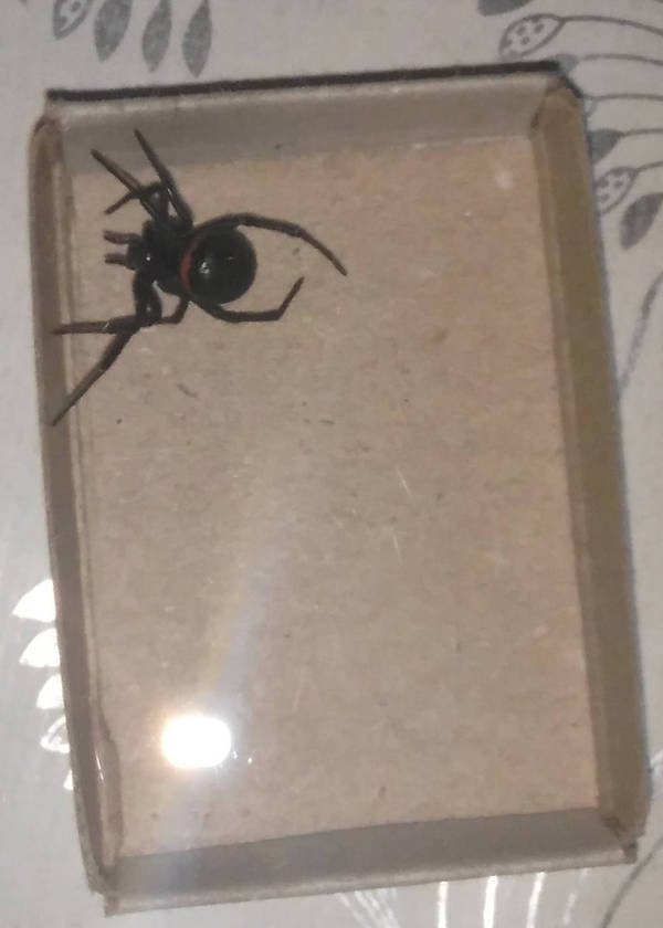 ��� � ���� ���������.