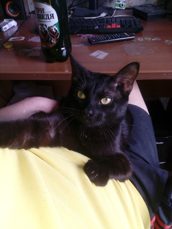 ������� � ��������������� �����. ���� ���� �� ������.