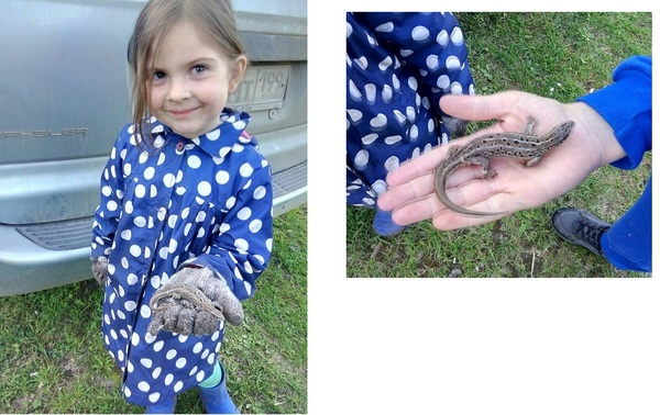 Скоро потеплеет товарищи!