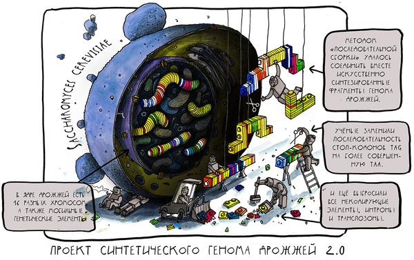 Синтезировать-невысинтезировать!