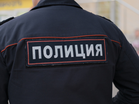 The Ministry of Internal Affairs demanded to introduce a presumption of trust in the police - Police, Politics