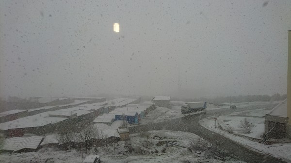  ... .     ..    .  31.05.2017 .