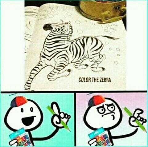 color the zebra - Coloring, zebra