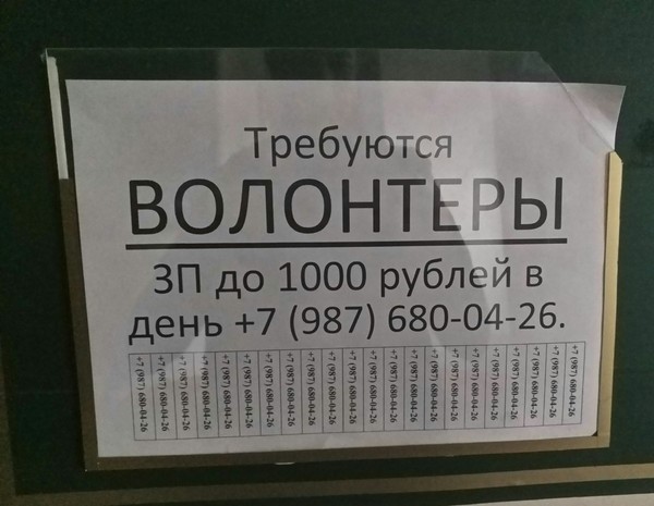 Объявление в универе