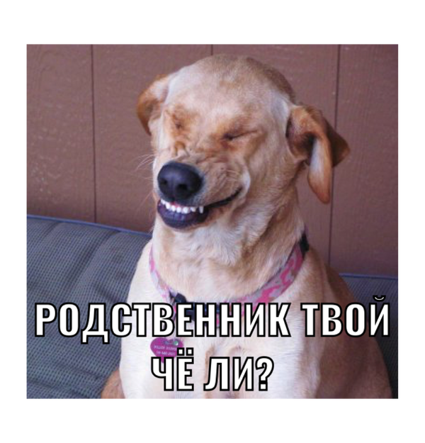 Как я вижу шутников, услышавших где-то схожую с моей фамилию.