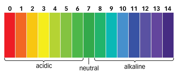 Самодельный электронный pH-метр
