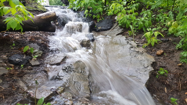 Water runoff into a storm drain in an ordinary city yard - My, Rain, Drain, Waterfall, My