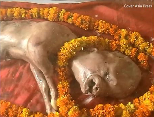 Crowds of believers in India flock to worship a calf with a human face - India, Mutation, Video