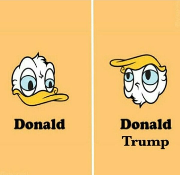 Donald, Donald Trump - Comparison, Donald Trump