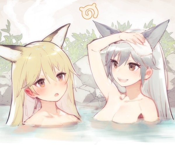 Foxes - Anime Art, Аниме, Ezo Red Fox, Silver Fox, Kemono Friends