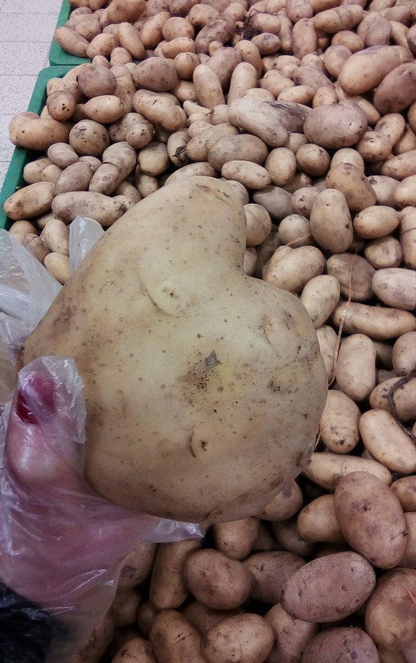 Like potatoes: - My, Longpost, Like, Thumbs up, the globe, Potato