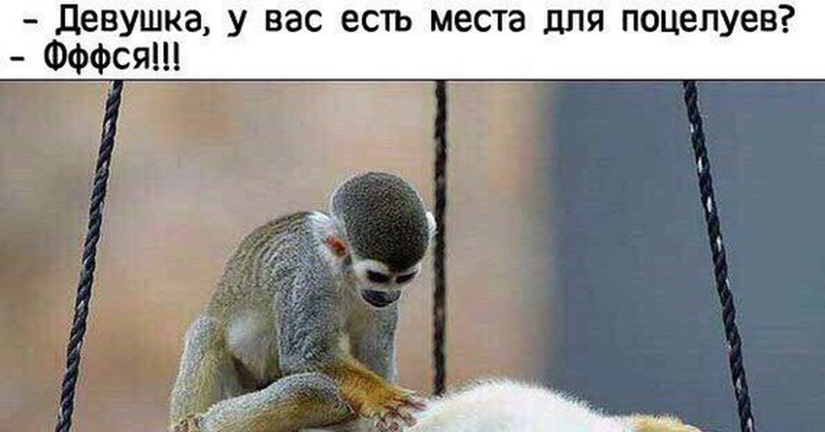 Места для поцелуев прикольные картинки