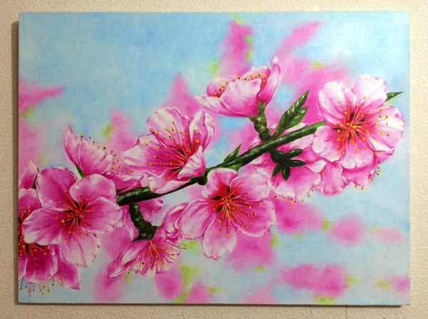 Sakura oil on canvas 85/55 cm - My, Oil painting, Sakura, Flowers