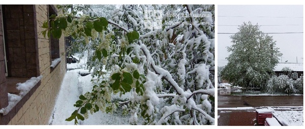 Summer, meanwhile in Yakutia, Aldan... 07/06/2017 - , Summer