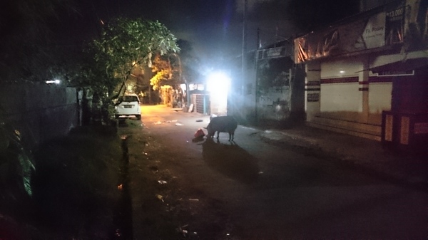 ����, ����� ���������