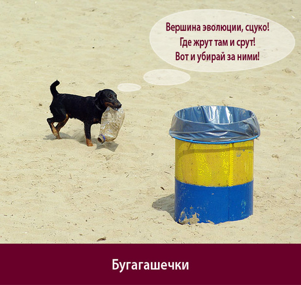 ecological - My, Bugagashenka, , Dog, Dogs and people, Ecology, Beach, Garbage, Demotivator