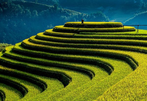 Золотой сезон