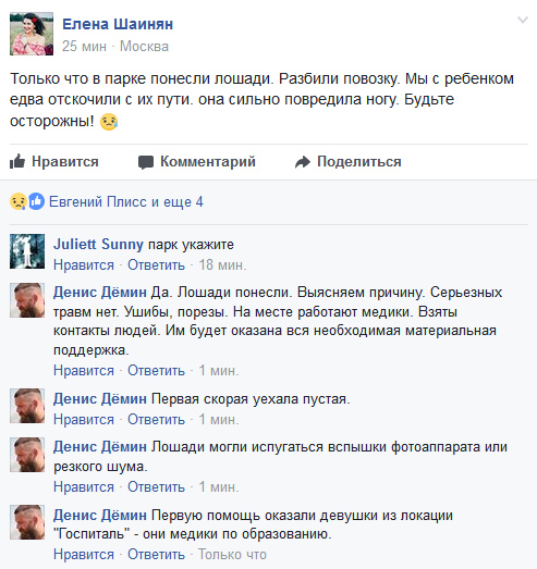 В Ленинградском парке Москвы понесли лошади и опрокинули повозку с детьми - Москва, Лошади, ЧП, Длиннопост