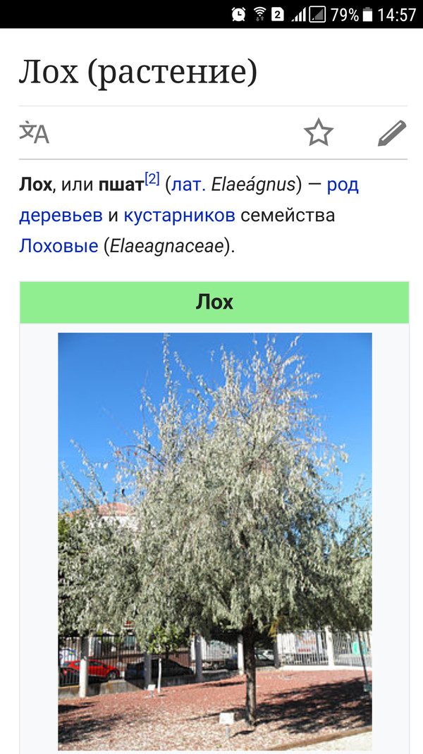 My totem plant - Wikipedia, Longpost, Totem, Plants