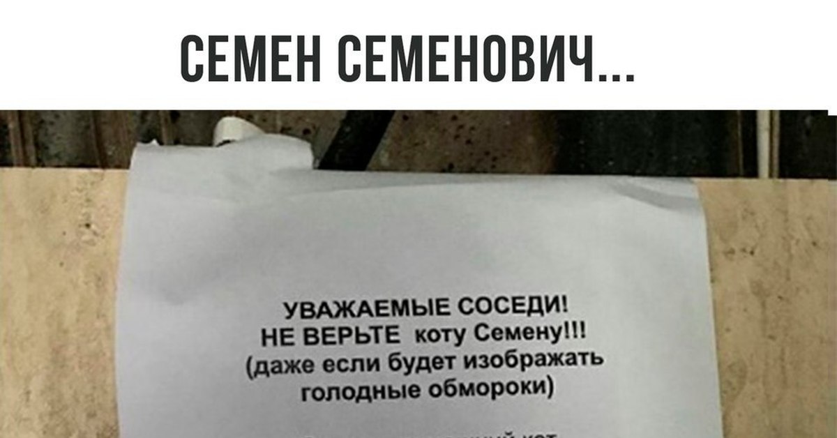 Коту Не Верь Он Ел