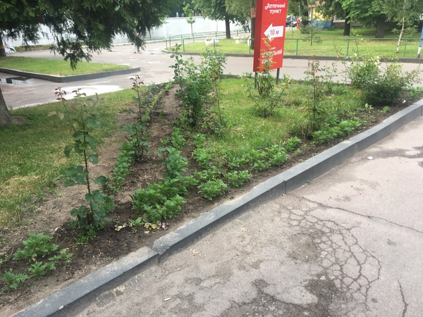 Срезать путь