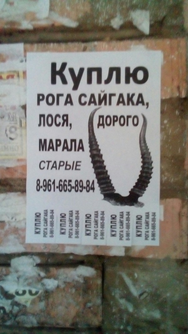 ����� ��� �� ����... :D ���������� �� ����� ����� ����.