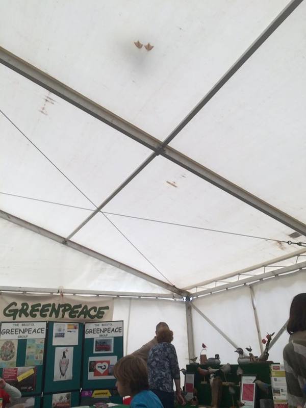 "�� ������ ������ ����� ���� ����� ����"