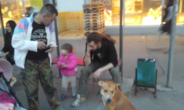 Пропала собака Москва!!! Пропала собака, Москва, Помощь, Электрозаводская, Длиннопост