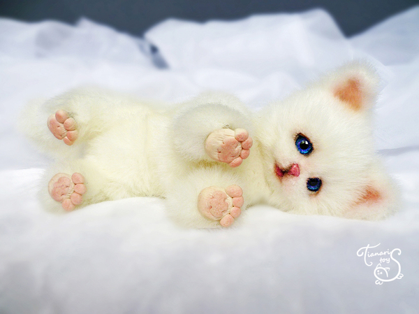 White fluffy kitten - My, cat, Cats and kittens, Creation, Author's toy, Handmade, Longpost