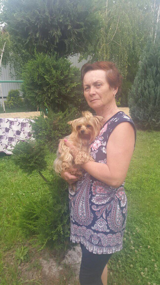 Lost Yorkshire Terrier dog in Goryachiy Klyuch, Krasnodar Territory - The dog is missing, Lost, Yorkshire Terrier, Help, Longpost, Hot Key