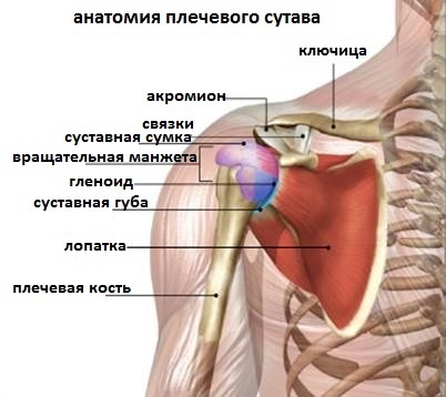 Best Shoulder Exercise - My, Sport, Тренер, Training program, Fitness, Physical Education, Muscle, Sports Tips, Longpost