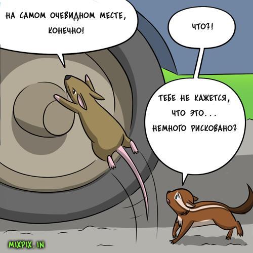 stealth masters - GIF with background, Translation, Comics, Kat swenski, GIF, Longpost, cat