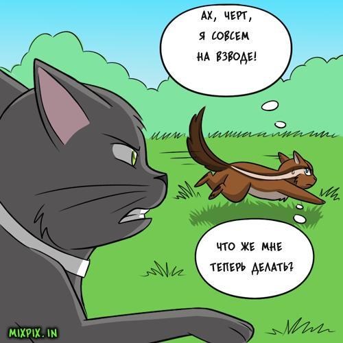 stealth masters - GIF with background, Translation, Comics, Kat swenski, GIF, Longpost, cat