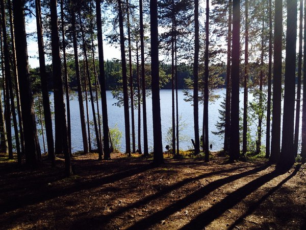 I am giving away one reserved place in kayaking, Karelia. - My, Text, Hike, Alloy, Карелия