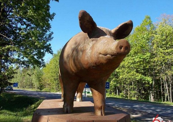 A monument to a pig was erected in the Klimovichi district - Republic of Belarus, Monument, Animals