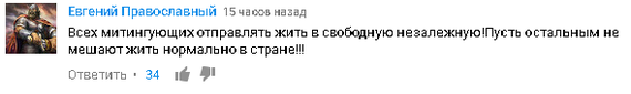 Крик души Православного Евгения. (Сарказм) - Евгений, Митинг, Митинги 12 июня, Политика