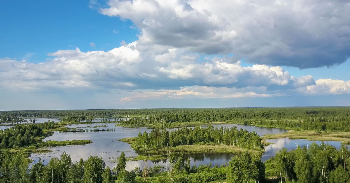 Титовский бор шебекино фото