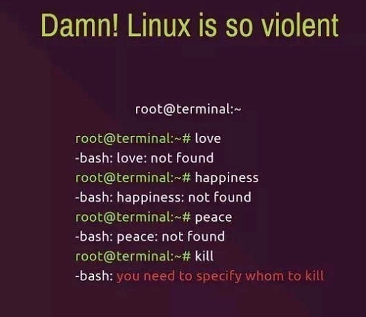 Aggressive Linux - Sarcasm - 9GAG, League of Linuxoids, Linux, Aggression, Sarcasm, Terminal, bash command shell, Humor