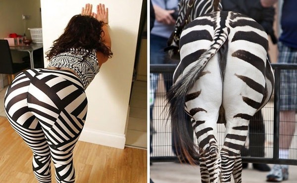 �����-��������