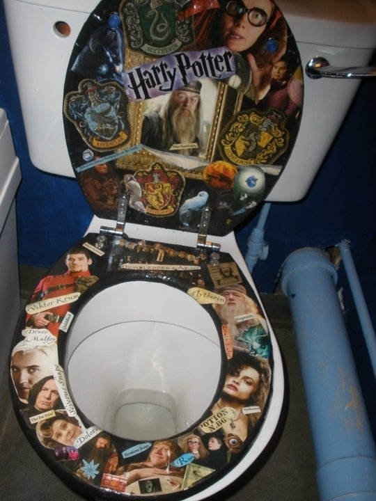 Harry Potter and the Goblet of Shit - Harry Potter, Toilet, Fans, Chamber of Secrets