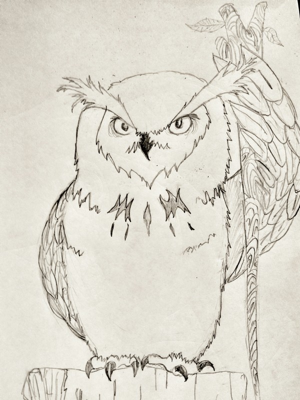 Owl druid - My, Forest, Druid, Magic, Owl, Drawing