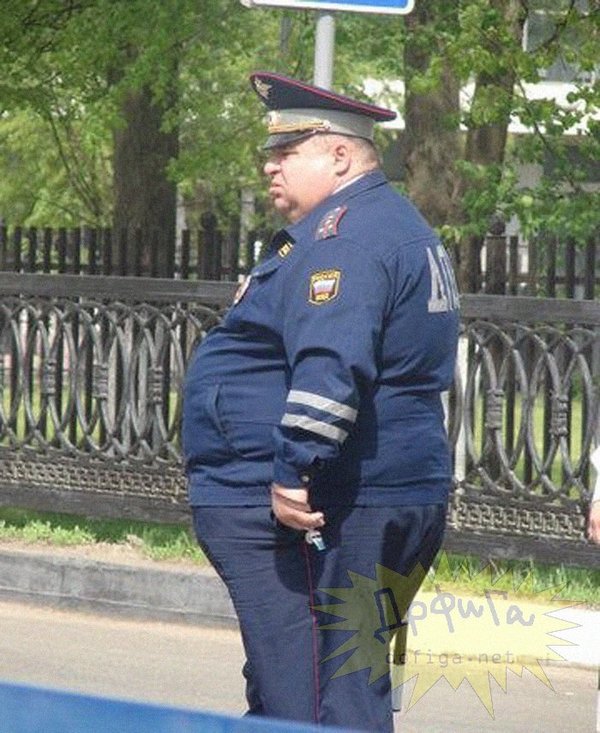 Why are traffic cops fat? - My, DPS, Fatty, , Mystery, Longpost, Excess weight, Fullness