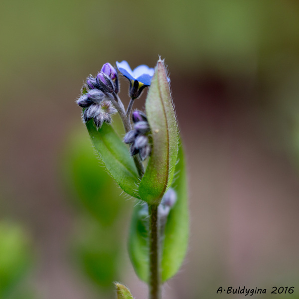  . ISO100 F/3.5 1/80c