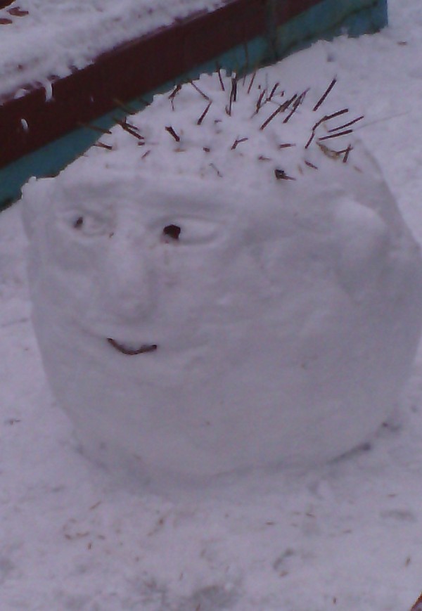 While everyone is angry about the snow, I do not lose heart and look at this creature. - My, Snow, Face, Joy