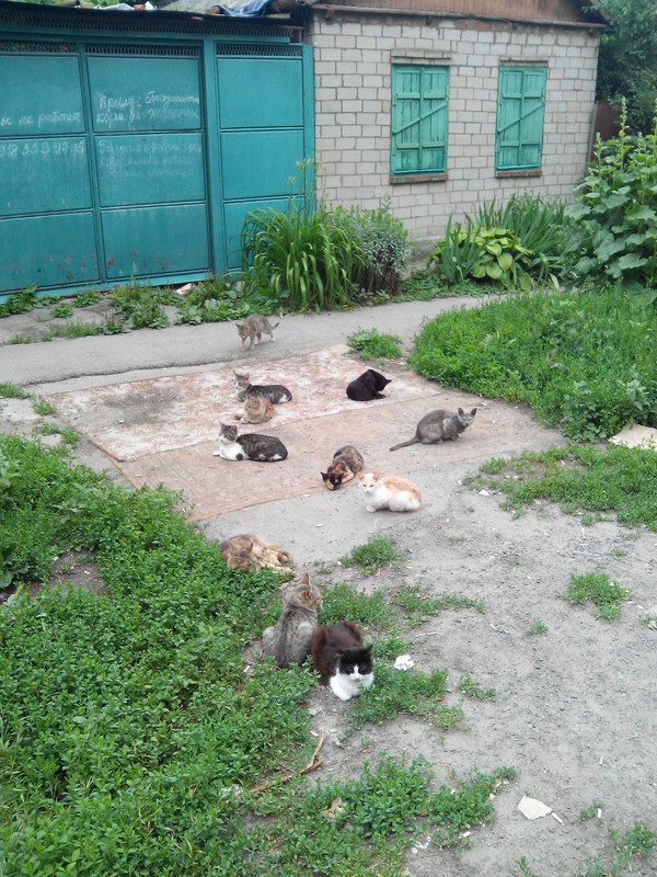 ��� ������� � �����������